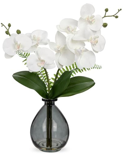 Hollyone Flor artificial de orquídea blanca de 15 pulgadas en jarrón, planta de orquídea falsa con jarrón de cristal, decorativa falaenopsis sintética para bodas, centros de mesa, baño, sala de estar,