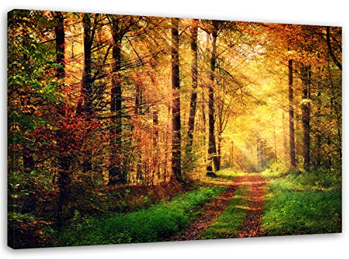 Feeby. Wandbild - 1 Teilig - 60x80 cm, Leinwand Bild Leinwandbilder Bilder Wandbilder Kunstdruck, WALD, NATUR, BRAUN