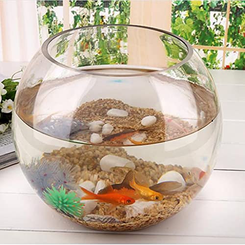 OUMIFA Aquarium Runde transparente Kristallglasschüssel Klare Kugel Vase Aque Tank Wasserglas