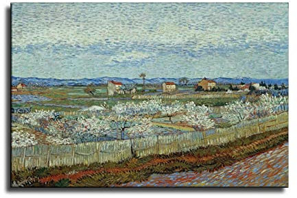 Vincent Van Gogh Leinwandbild La Crau mit Pfirsichbäumen in Blüten, Kunstdruck auf Leinwand und Wandkunst, modernes Familienschlafzimmer, Dekoration Poster, 50 x 75 cm
