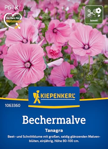 Kiepenkerl Bechermalvensamen Tanagra 1063360, Blumensaat | Beet- und Schnittblume mit großen, seidig glänzenden Malvenblüten, für Beet & Schnittblumen
