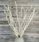 DongArts Ramo di salice riccio naturale essiccato da 53-58 cm, 15 bastoncini decorativi intrecciati bianchi, 3 mini zucche vere per la decorazione della casa
