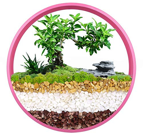 Wandvase, runder Wand-Pflanzgefäß aus Metall, Wandmontage, hängender Blumentopf, Pflanzenhalter, moderne Wanddekoration, Kunst für Balkon, Garten, Pflanzen von Luftpflanzen, Trockenblumen, Sukkulenten