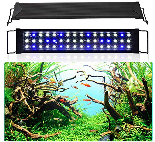 Izrielar LED Aquarium Beleuchtung, 16W Aquariumbeleuchtung Lampe Weiß Blau Licht Aquarium Lampe mit Verstellbarer Halterung für 45-60cm Süßwasser-Aquarien