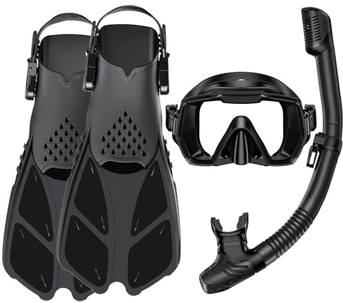 HH HHAO SPORT Schnorchelset Erwachsene mit Flossen, Tauchermaske, Dry Top Schnorchel und Tragetasche