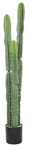 bellacat Cactus artificial grande de 5 pies con maceta negra, plantas de cactus artificiales realistas de 60 pulgadas para interiores, plantas de cactus falsas realistas para interiores y exteriores,
