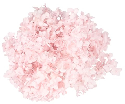 Ipetboom Fiori Secchi Naturali Fiore Essiccato Forniture Per Da Te Decorazioni Compleanno e Feste Matrimonio Da Te Per Nail Art