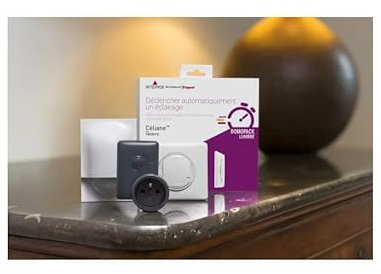 Legrand Détecteur de Mouvement Domopack lumière