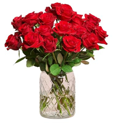 BLOOMY DAYS Blumenstrauß Einfach Liebe 20 rote Rosen mit 7-Tage-Frischegarantie, Floristen-Qualität, das perfekte Geschenk bestellen