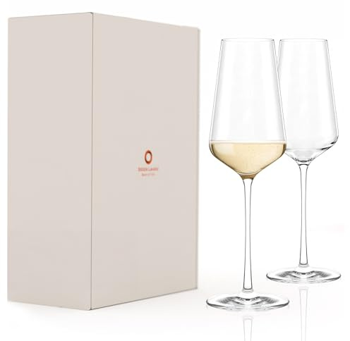 Stölzle Lausitz Starlight Champagnerkelche Sektgläser 290 ml, 2er-Set | Elegante Champagnerkelche und Schaumweingläser für Sekt und Prosecco, aus Kristallglas, stoßfest & spülmaschinengeeignet