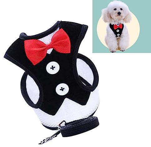 RASTKY Harnais pour Animaux de Compagnie, Laisse avec Nœud Papillon coloré, Gilet Robuste pour Chien, Ensemble de Cordes de Traction pour Grands Chiens et Chats, Tissu Métallique pour des Promenades