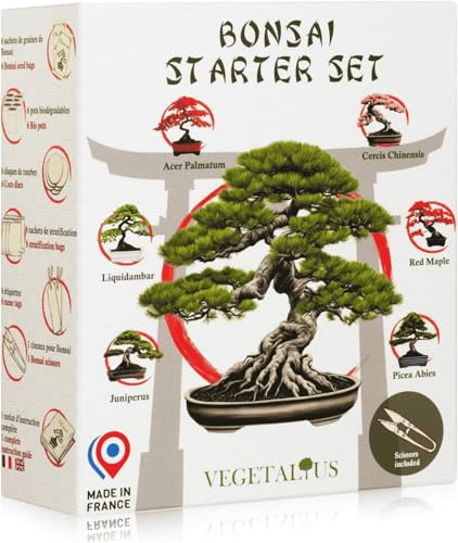 VEGETALIUS - Set completo de 6 bonsáis con semillas y accesorios - Fabricado en Francia - Bonsais naturales interior - Kit bonsai para completar tu huerto urbano
