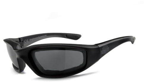 King Kerosin® | Bikerbrille, Motorrad-Sonnenbrille, Sonnenbrille | gepolstert, winddicht | HLT® Kunststoff-Sicherheitsglas nach DIN EN 166 | Brille: KK140