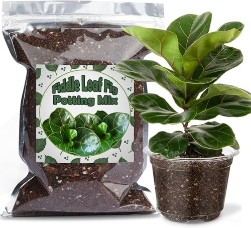 Organic Fiddle Leaf Fig Potting Mix 1L, Indoor Plants Potting Mix for All Potted Ficus Lyrata Plant, Grow Healthy houseplants Indoors