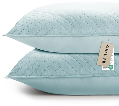 RESTILO Juego de 2 fundas de cojín de 50 x 70 cm, color azul cielo, cojín decorativo para sofá, cojín decorativo, acolchado ultrasónico, suave, ideal para salón, dormitorio, sofá