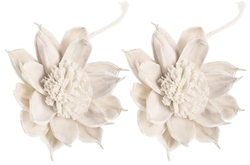 PAMINGONO Diffusore Versatile e Fuoco Fiori da con di Secchi Corda senza 2 di Cotone Carta di Paglia Beige Pezzi Aromaterapia Profumo per per Bagno e Camera Letto
