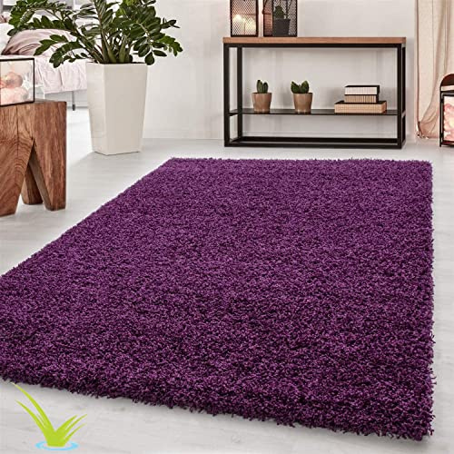 Wadan 120x170cm Purple Shaggy Rugs Living Room |5mm Thick Pile | Extra Large Small Medium | Rectangular Size | Soft Touch | Living Room Area Rugs | Non Shedding