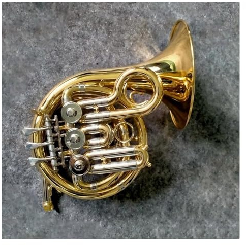 Professionelles Blasmusikinstrument Aus B-Messing, Goldlackiert, Mit Koffer Waldhorn-Set