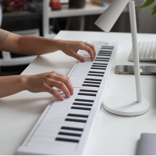 ZenithAur Weighted Electric Keyboard, 61 Key Folding Piano Keyboard, Portable Electronic Keyboard for Beginners, with Recording and Playback Functionality