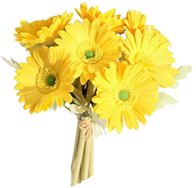 Amosfun Bouquet Di Fiori Finti 7 Pezzi Margherite Africane Fiori Artificiali Gialli Decorazioni Per La Casa Decorazioni Per Matrimoni