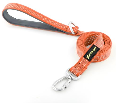 Plutus Pet Heavy Duty Dog Lead with Lockable Aluminum Carabiner, 1.8m Long | Double-Sided Reflective Nylon, Padded Handle, Heavy Duty, for Puppy Small Medium and Large Dogs (Orange, 2.5 x 180cm)