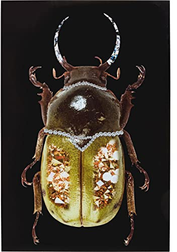Glasbild Shiney Dung Beetle 80x120cm
