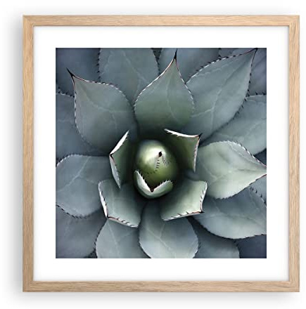ARTTOR Poster da Parete 40x40 cm Cornice Rovere Botanica Fiori - 5133 - P2N