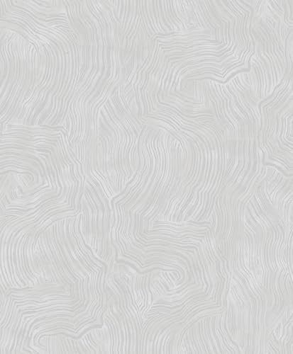 Rasch Papier peint intissé avec vagues abstraites et lignes organiques argentées et gris clair 101302
