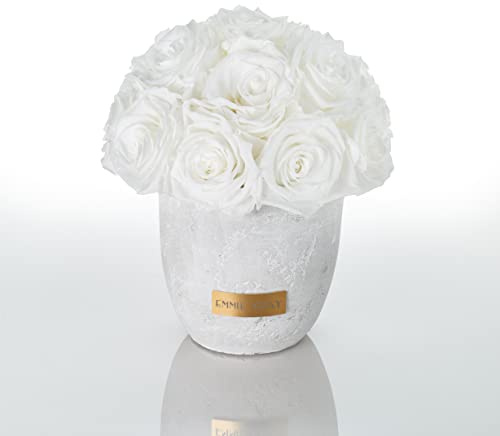 Solid Infinity Collection - Traumhafte Infinity Rosen, 1-3 Jahre haltbare Rosen, Betonvase mit echten, konservierten Rosen, edle Premiumrosen - Größe S (Pure White)
