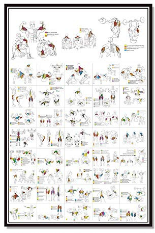 Ling88 Bilder,Poster,Kunstdrucke,Hantel Workout Übungsplakat ， Krafttrainingstabelle ， Muskelaufbau ， Home Gym Gewichtheben Routine -Körperbauanleitung Ex Fitness-Übungsbilder-50X70Cm