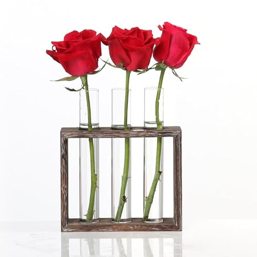Cabilock Vase Hydroponique Tube À Essai en Verre Transparent 5.91X1.57X7.09 Pouces Décor Intérieur Simple pour Fleurs Soliflore Jardinage Conteneur 3 Trous
