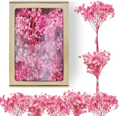 Gypsophila, 65 pezzi, fiori secchi, fiori secchi, per matrimoni, mini decorazioni per la casa fai da te