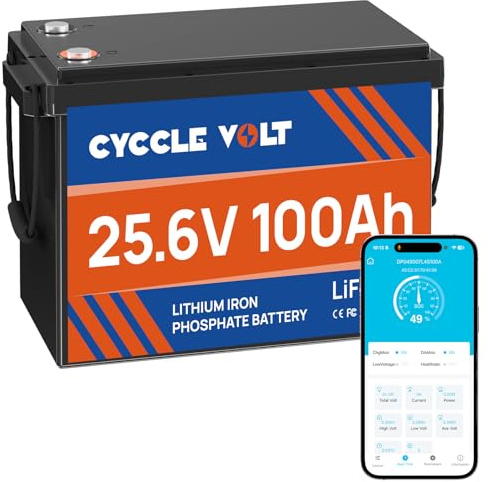 CYCCLEVOLT LiFePO4 24V 100Ah Batterie mit 100A Bluetooth BMS, APP Steuerung, MAX. 2560W, 8000+ Zyklen und 10 Jahre Batterielebensdauer, Perfekter Ersatz für Wohnmobil, Solarsystem, Trolling-Motoren