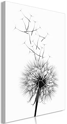 murando - Akustikbild Pusteblume Bilder Akustikschaum Hochleistungsschallabsorber Schallschutz Leinwand 1 TLG Wandbild Blumen Natur grau b-B-0365-b-a