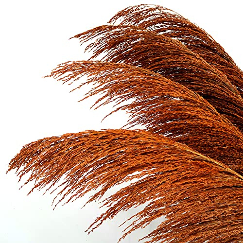 Pampas Grass Decor Tall,Pampas Grandes Florales esponjosas,Flores de Plumas largas para arreglo de Boda Boho Sala de Estar (8 Piezas de 31/80cm, Naranja quemada)