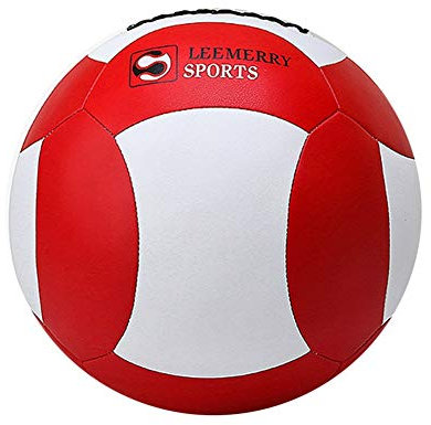 AGYH Medizinbälle Wandball, Yoga Fitness Ball Gravity Ball, Oberkörpertraining for Den Oberarm, Schweißabsorbierend Und Anti-Blockier-System, 2kg/4kg/6kg/8kg/10kg (Size : 10kg/22lb)