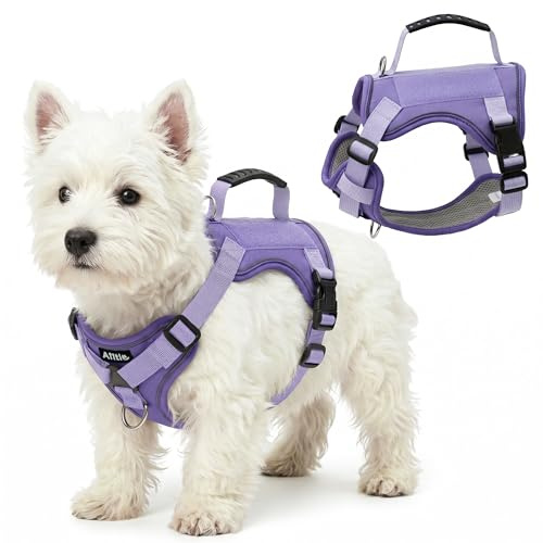 AIITLE No-Pull-Hundegeschirr reflektierend verstellbar, Lavendel XS | gepolsterter Griff, No-Choke-Design, doppelte Leinenclips, atmungsaktiv, für kleine & mittlere Hunde, Spazieren & Training