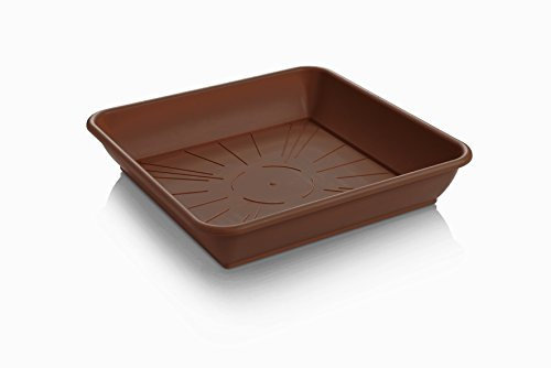 Erhard-Trading Blumentopf-Untersetzer Quattro eckig braun quadratisch aus Kunststoff (Gr. 1)