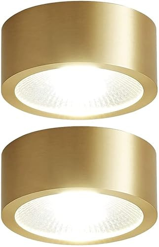LEGZIT 2pack,3W,5W,7W,9W Brushed Brass Ceiling Surface Mounted Downlight Eyeball Ceiling Light 8cm,10cm Retrofit Led Recessed Spotlights (Gold/Black,3000K Warm White)