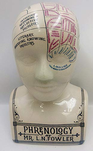 F&G Supplies, Meravigliosa testa in ceramica con stampa tatuaggio e scritta Phrenology, una divertente interpretazione moderna dell'arte vittoriana della frenologia, alta 30 cm