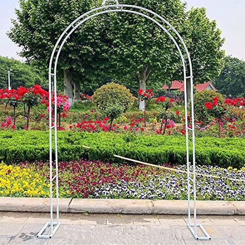HSWOYEA Arche de Jardin pour rosiers, tonnelle ou Treillis, pergola en métal pour Plantes grimpantes, arbustes décoratifs, Arbres, rosiers - Jardin, extérieur, Usage Domestique, Blanc - 80 x 200 cm