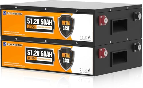 ECO-WORTHY Batería LiFePO4 0% IVA 48 V 50 Ah con BMS y hasta 15000 ciclos, batería de litio de 5120 wh para sistema solar, juego completo, panel solar (2 unidades)