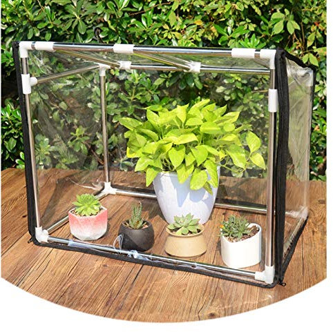 ZHZ-DT Kleine Mini Balkon Gewächshaus Pflanzenhaus Treibhaus mit transparentem Kunststoff-PVC-Abdeckung |Indoor Outdoor Garden Pflanze Zelt Schutz für Tomaten, Sämlinge wasserdicht wetterfest