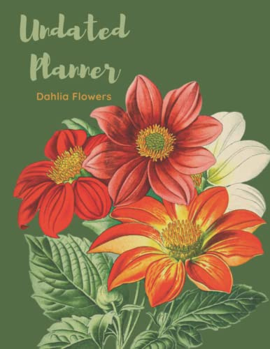 Dahlia Yellow Flowers Undated Planner: The Dahlia Flowers with 2 years plans and 24 months with Flexible Glossy Cover