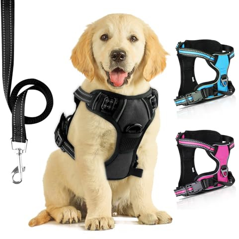 SIBOTER Harnais Chien, Harnais Anti Traction pour Chien, Harnais Chien Anti Traction Réfléchissant, avec Laisse pour Chien, pour Entraînement en Plein Air (Noir Foncé, S)