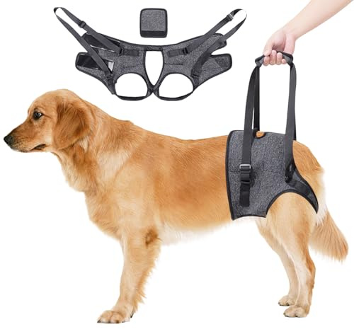 Aide au Transport pour Chien - Harnais de Levage pour Chien, Harnais de Soutien Réglable pour Les Pattes Arrière, Ceinture de Soutien et de Rééducation pour Chiens âgés, Blessés (Gris) (M)