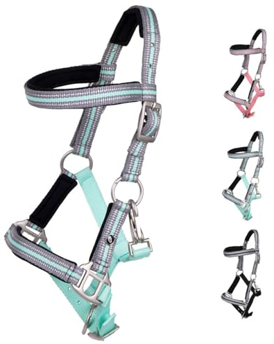 NETPROSHOP Fohlenhalfter Flore mit Stirnband weich gepolstert und verstellbar Falabella Shetty Pony Full, Groesse:Fohlen Falabella, Farbe:Ice Green
