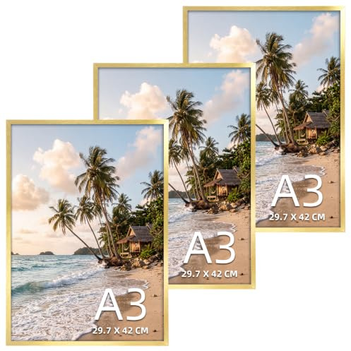 EYMPEU 3er Set Bilderrahmen A3 Gold, Aluminiumrahmen gebürstet | Fotorahmen für Wandmontage, Fotos, Dokumente, Zertifikate, Kunstwerk