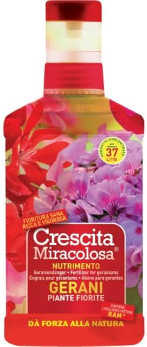 1 PZ CRESCITA MIRACOLOSA GERANI ML.375 NextradeItalia Mod.FERX.DWLNLX