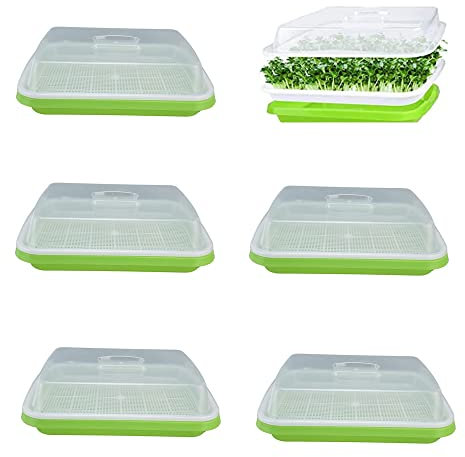 6 Pack Seed Sprouting Trays with Lid,32cm x 26cm Seedling Germination BPA Free Large Capacity Healthy Hydroponic Propagator for Growing Mung Beans, Alfalfa, Wheat Grass